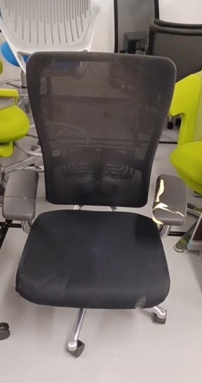 Hayworth Zody Task Chair