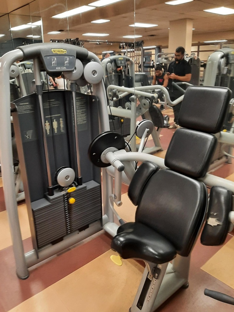 Arm Curl