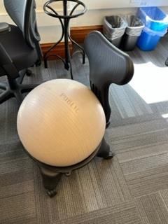 Roller Ball Chair