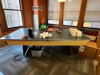 Pool Table/Ping Pong Table