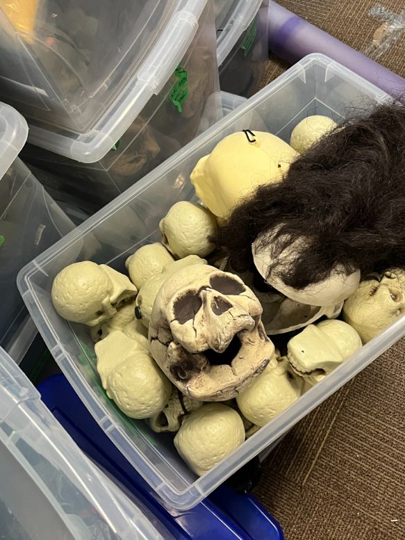 Bin of plastic skulls, misc.