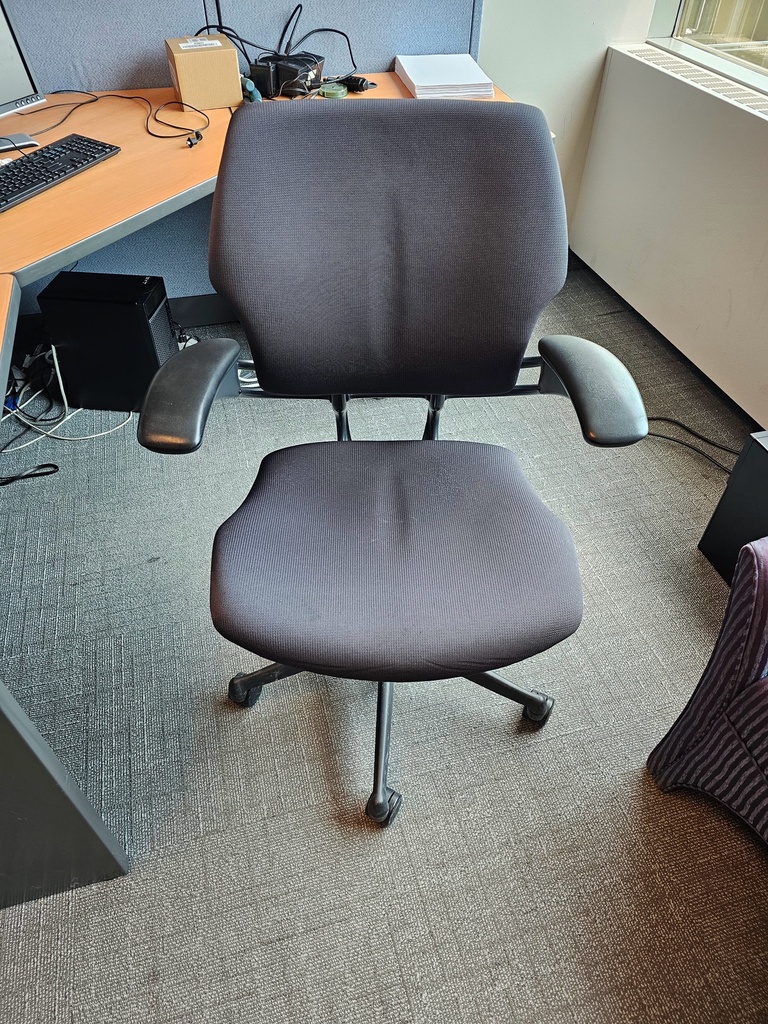 Task Chair - with Arms (grey/black)