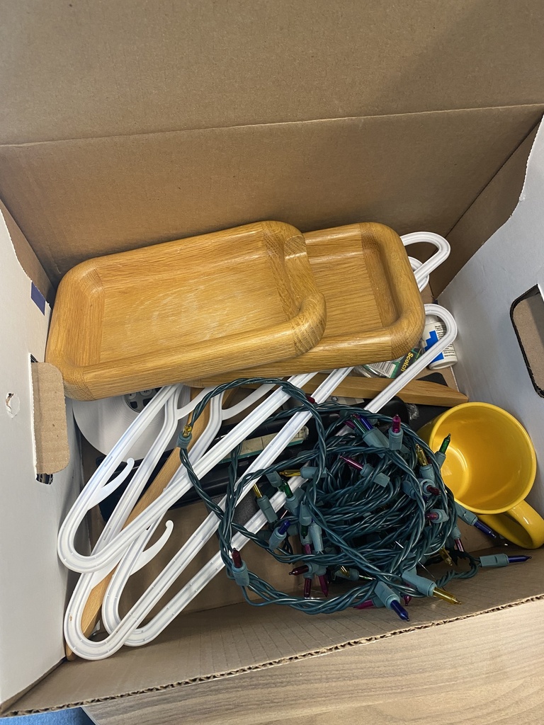 Box of Hangers, Lights, and Misc. Items