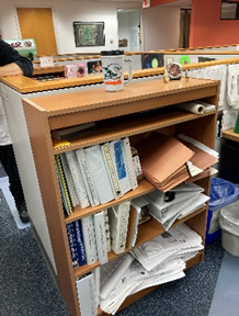 Medium Bookshelf, 37x12x48"