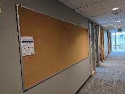 Corkboard, Wall-Mounted, 120" x .5" x 47"