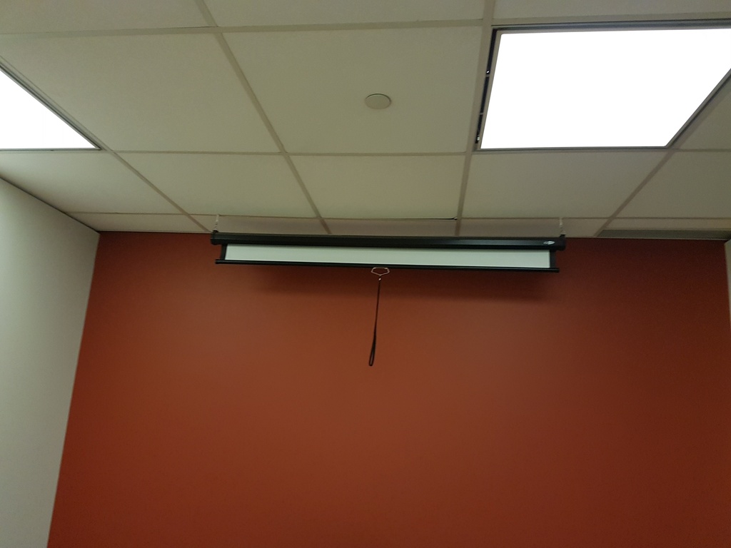 Projector Screen - 6"