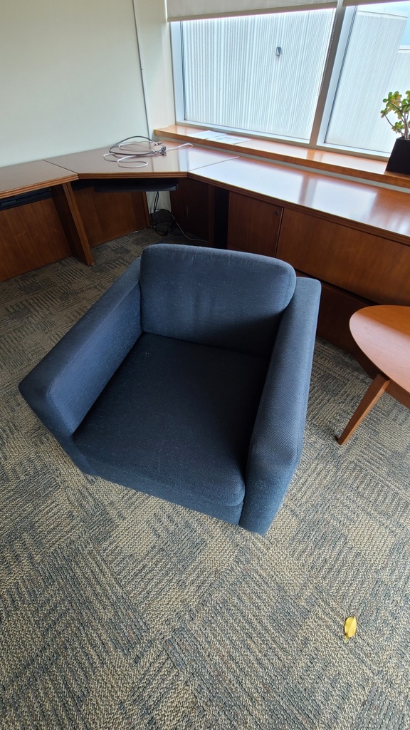 Blue Arm Chair