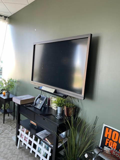 66”TV