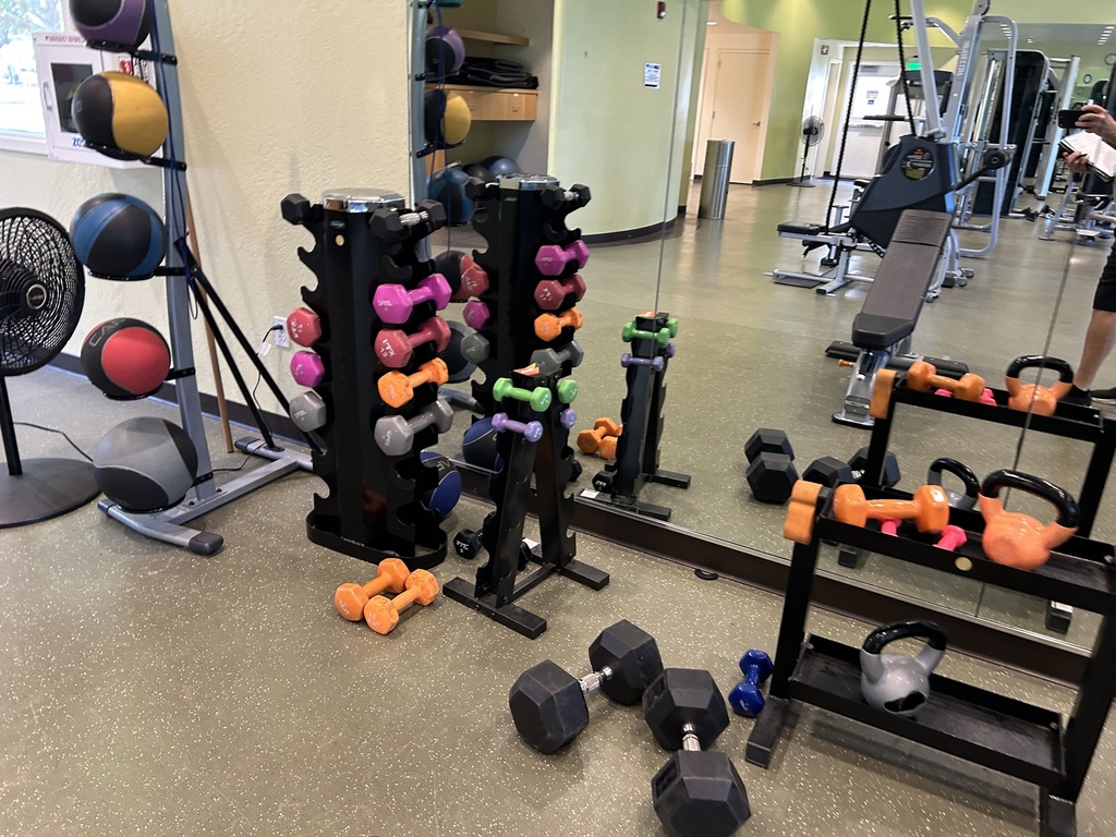 Weight Rack