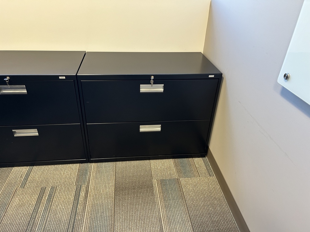 Hon 2 Drawer lateral Files