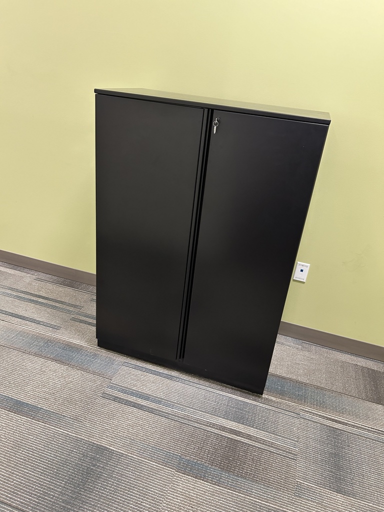 2 Door Black Cabinet