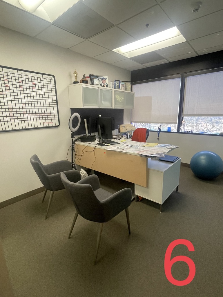 Large L-Shape Office Desk