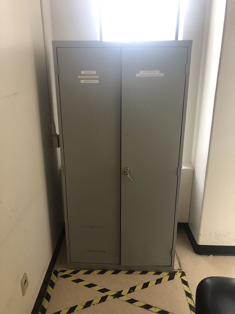 Cabinet Tall (2 doors)