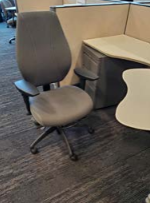 ergoCentric Chair, gray