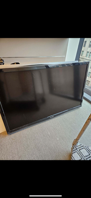 65" Television