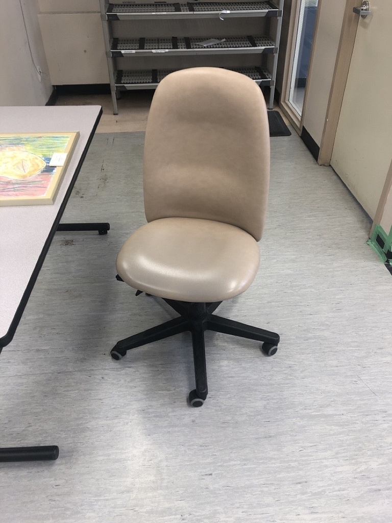 Task Chair no Arms 