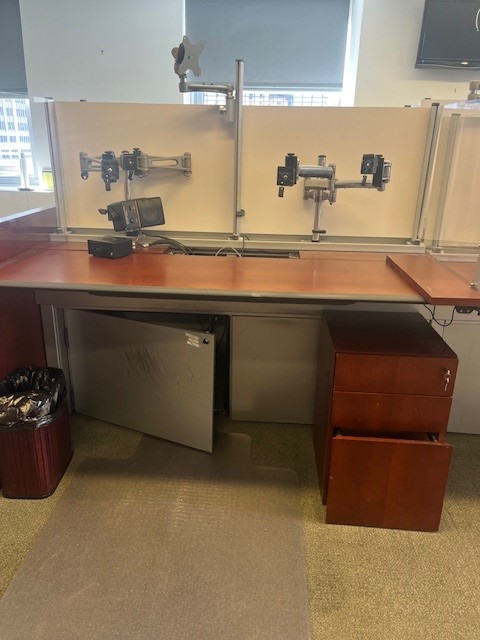 Dual Monitor Arms