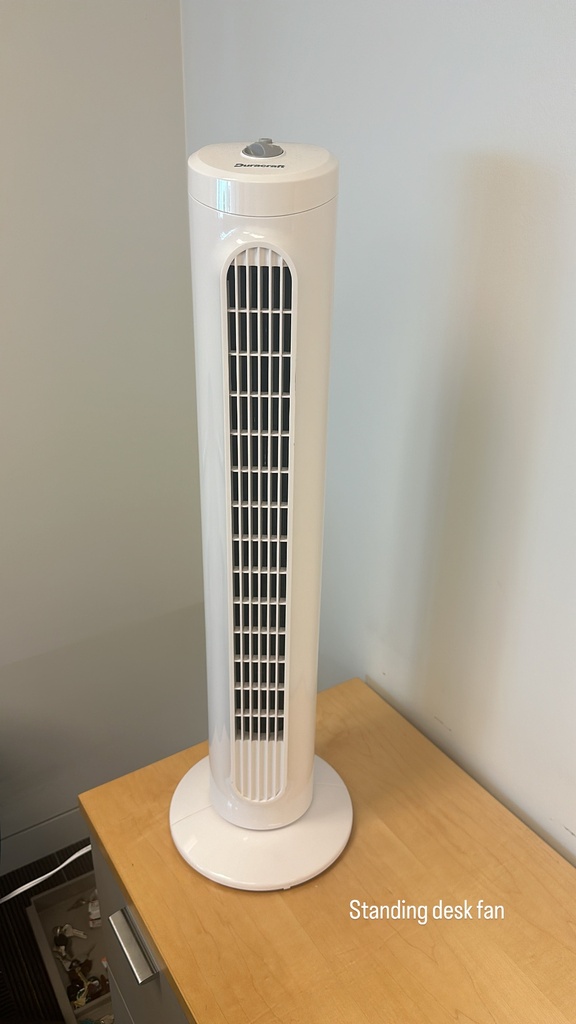 Standing fan/space heater