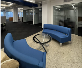 Blue Sofas
