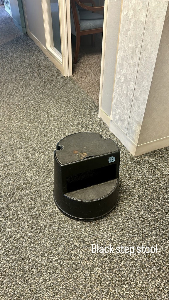 Black step stool