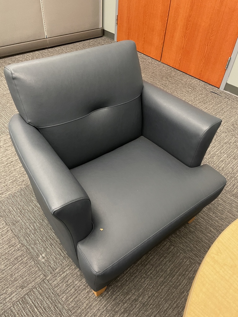 Blue Leather Lounge Chairs