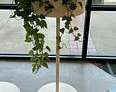 45 H X 17 D Planter (short)