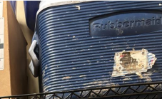 RUBBERMAID BLUE COOLER