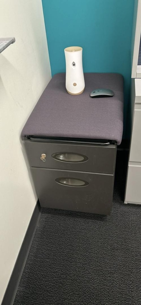 Mobile Pedestal