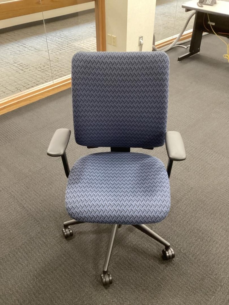 Turnstone Crew Chair - Patterned Blue