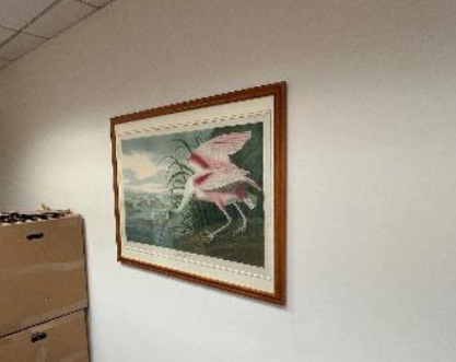 Artwork - Flamingo