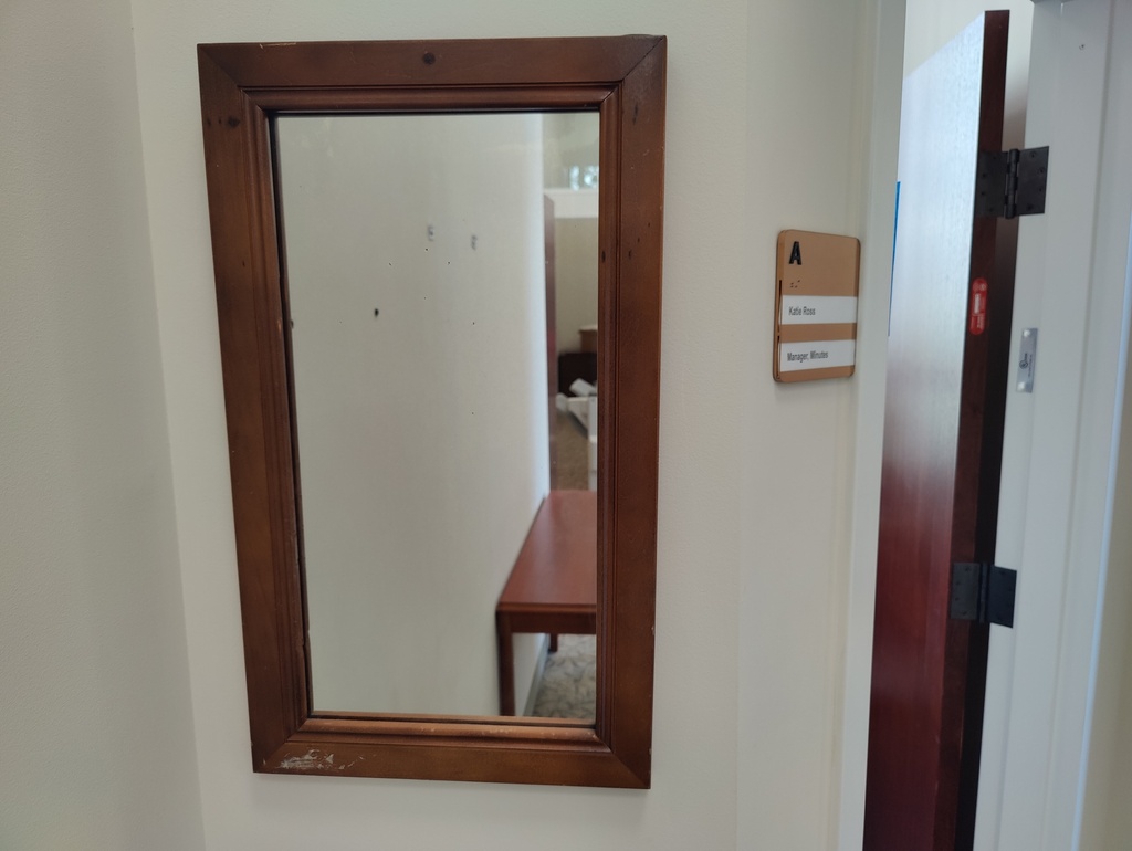 Mirror 24x14