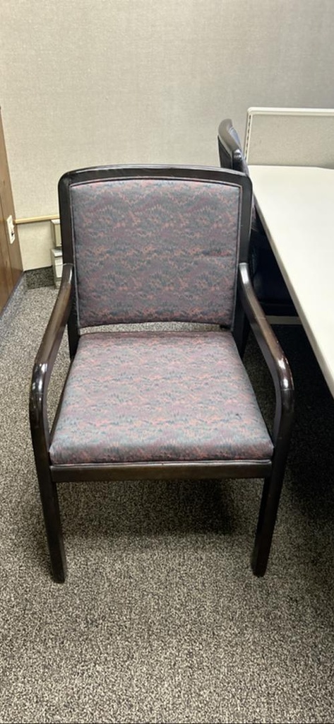 Patterned Guest Chairs