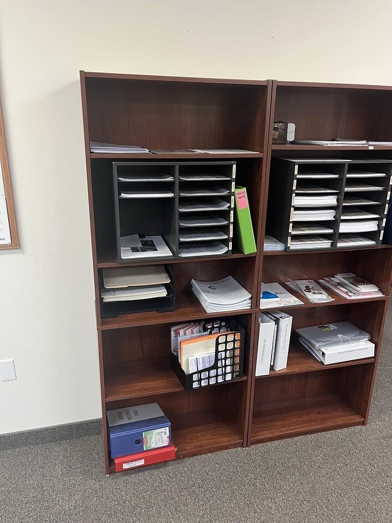 Bookcase (H71 W29 D12)