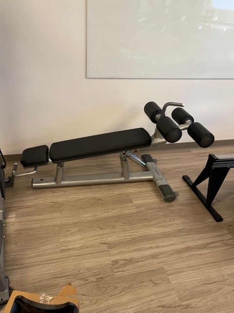 Workout Bench
