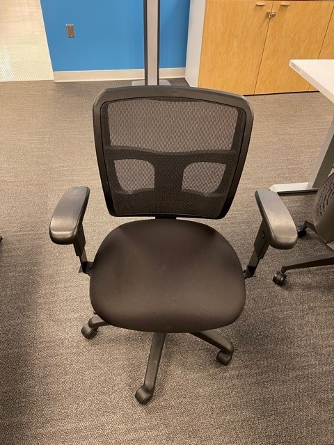 Black Task Chair with Mesh Back
