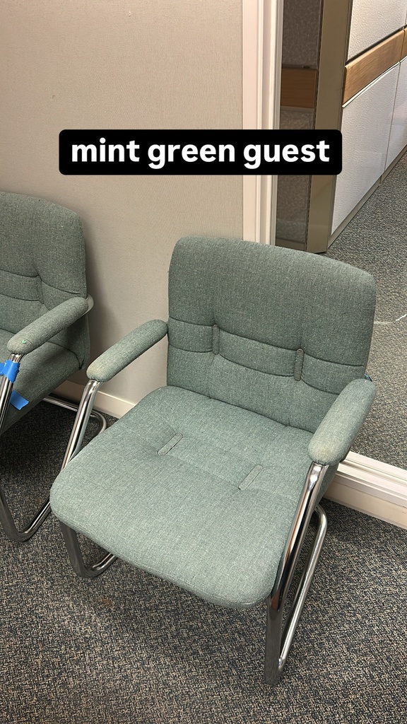 Mint Green Guest