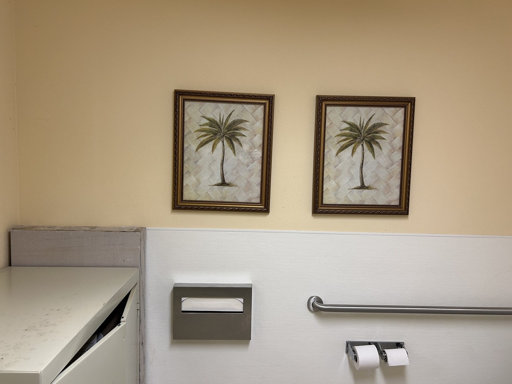 Palm Tree Pictures