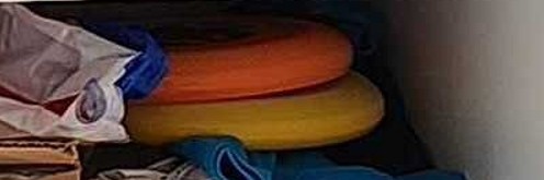 Frisbee