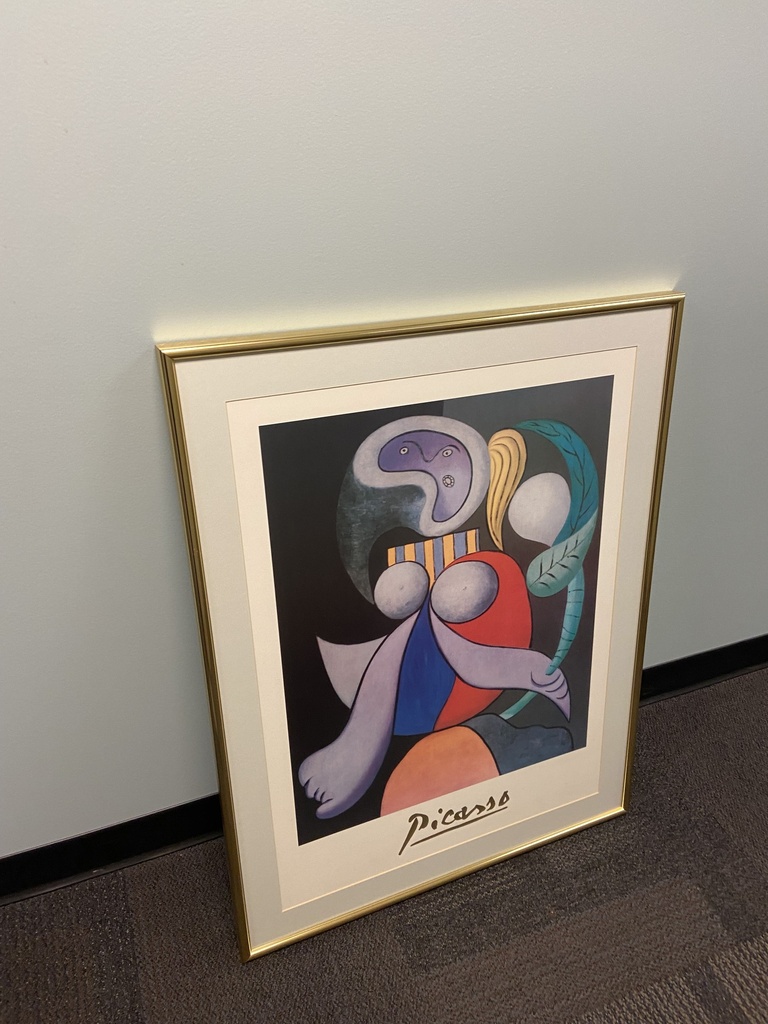 Picaso Picture