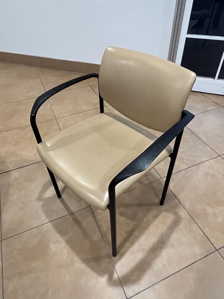 Guest Chair - gold Player