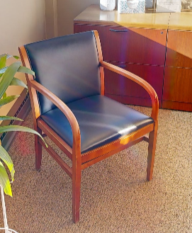 Leather Guest Chair
