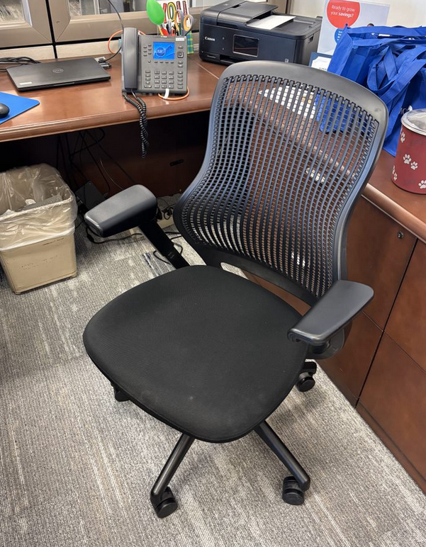 Black Knoll Task Chair