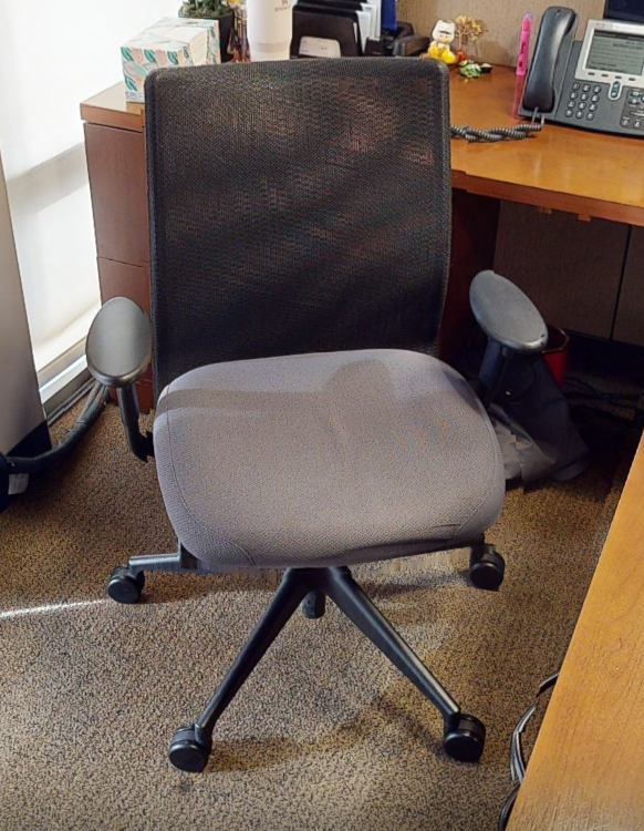 Task chair with arms