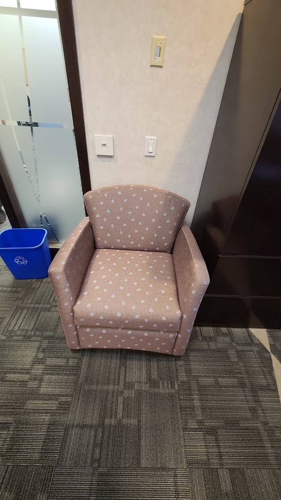 Pink Lounge Chair