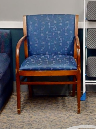 Blue patterned guest chair