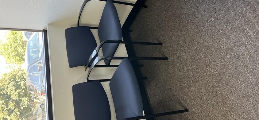 Guest Chairs - Blue