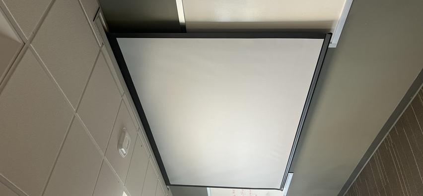 Projector