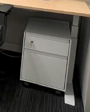Mobile Pedestal