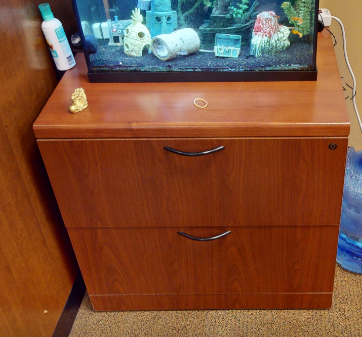 2D lateral filing credenza