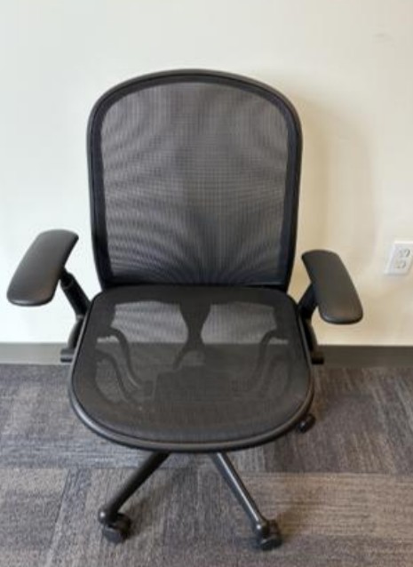 Knoll Ergo Chad Mesh Chair